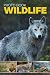 Wildlife Photo Book: Danger...