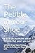 The Pebble in Your Shoe by Write Stuff