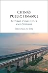 China's Public Fi...
