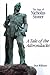 Saga Of Nicholas Stoner: Or A Tale of the Adirondacks