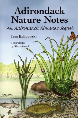 Adirondack Nature Notes: An Adirondack Almanac Sequel (Paperback)