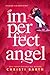 Imperfect Angel by Christi Barth