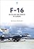 F-16: US-Allied Air Forces in Europe (Modern Military Aircraft Series)