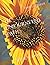 The Unjourneyed Path: Self-...