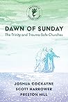 Book cover for Dawn of Sunday: The Trinity and Trauma-Safe Churches (New Studies in Theology and Trauma)