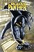 Black Panther by Christophe...
