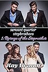 Servant Quarter Stepbrothers: Revenge of the Stepmother