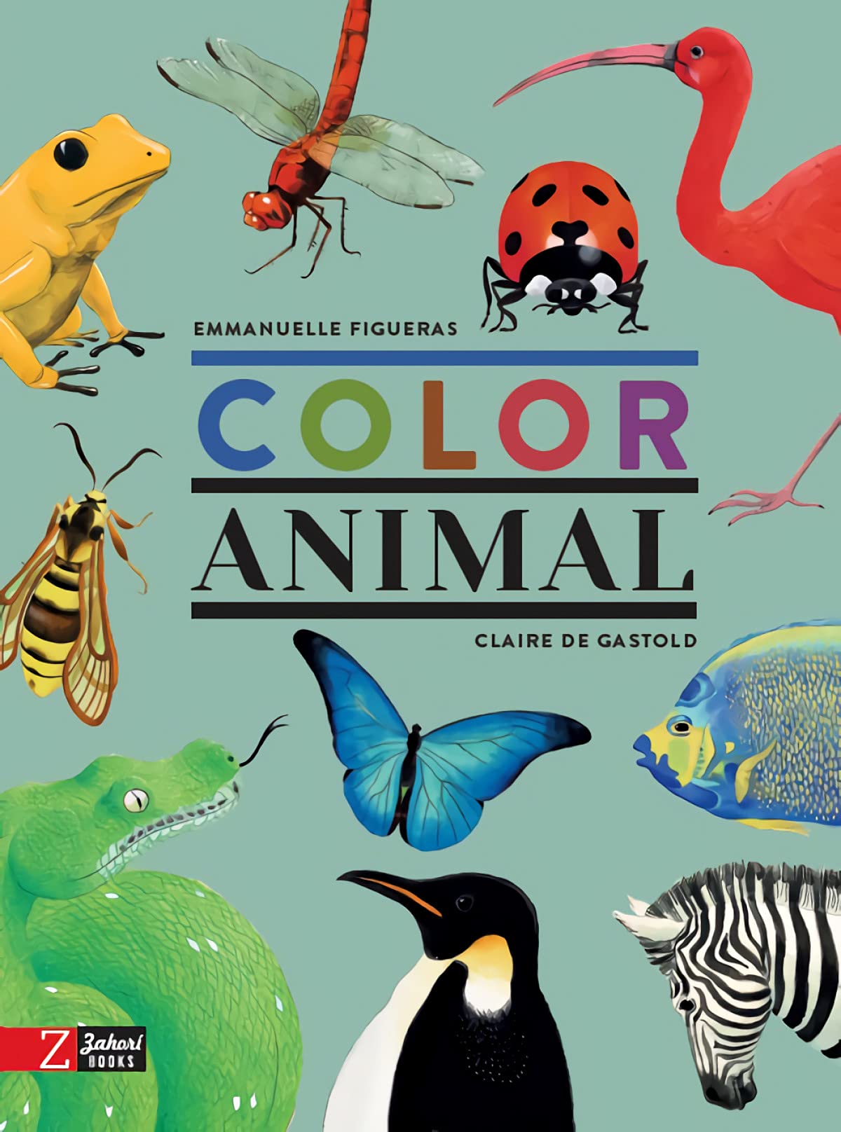 Color Animal (Hardcover)