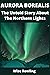 AURORA BOREALIS by Wise Rowling