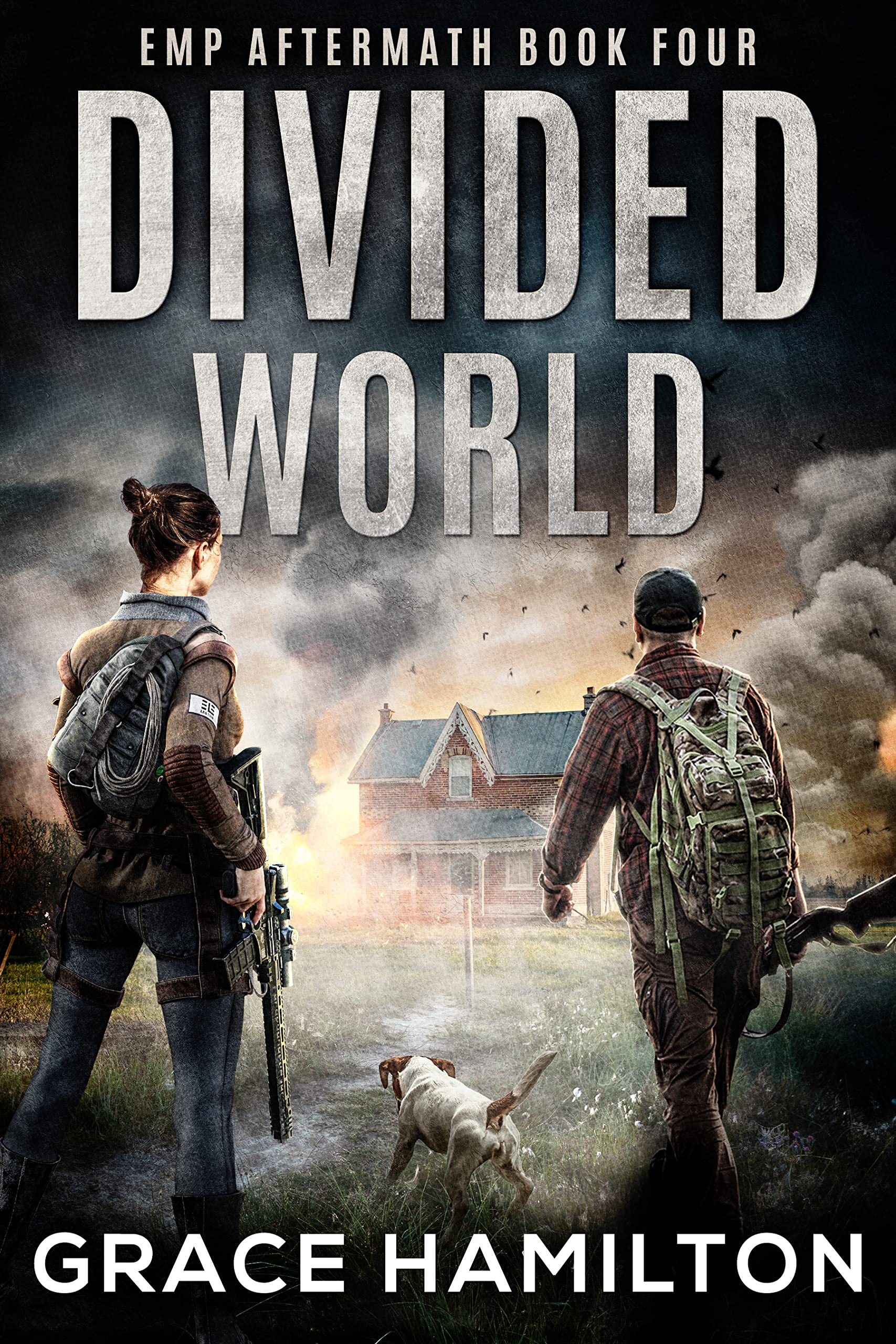 Divided World: A Post-Apocalyptic EMP Saga Filled With Fascinating Characters & Prepper Info (Kindle Edition)