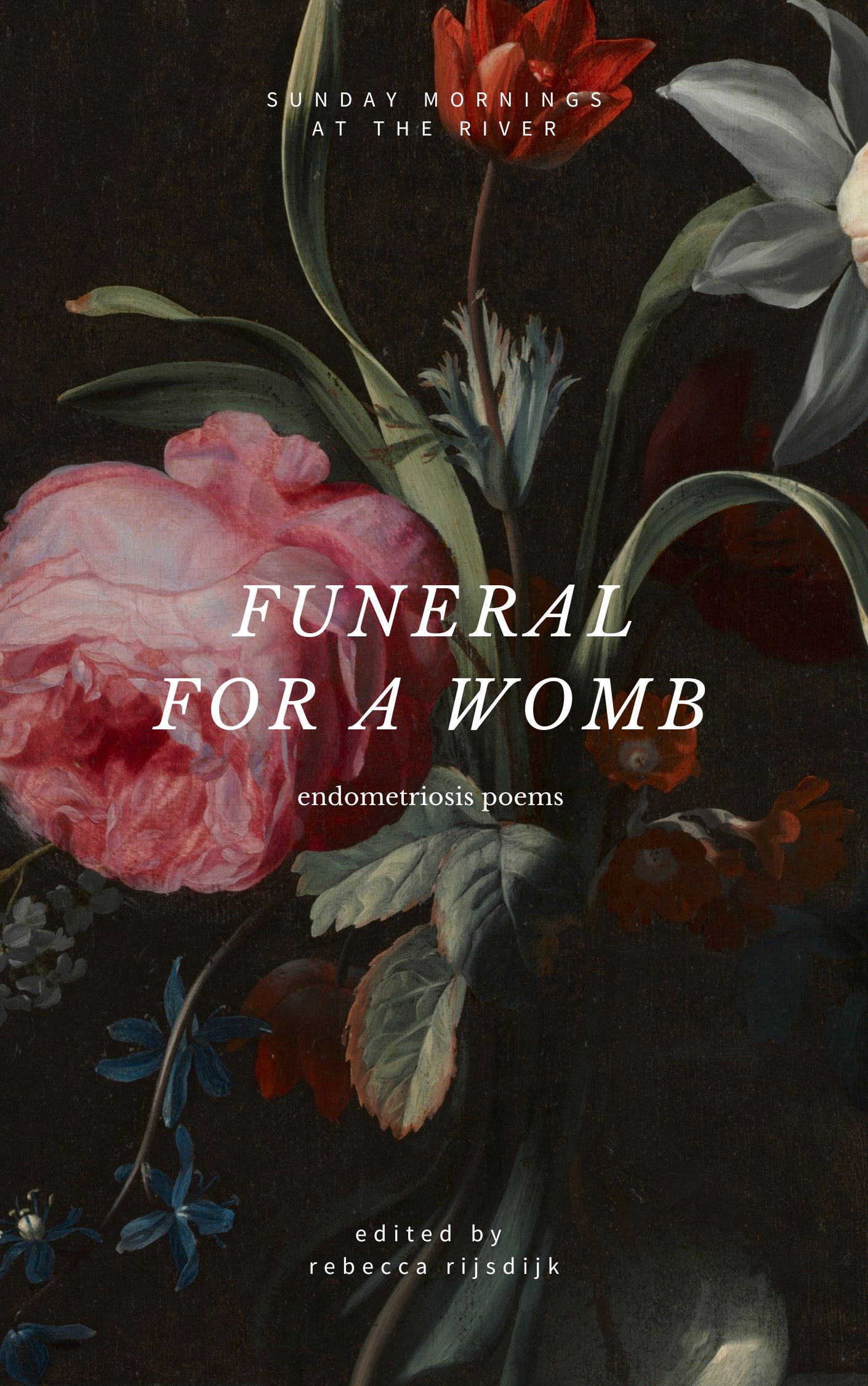 Funeral for a Womb (Kindle Edition)
