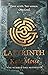 Labyrinth (Languedoc, #1)