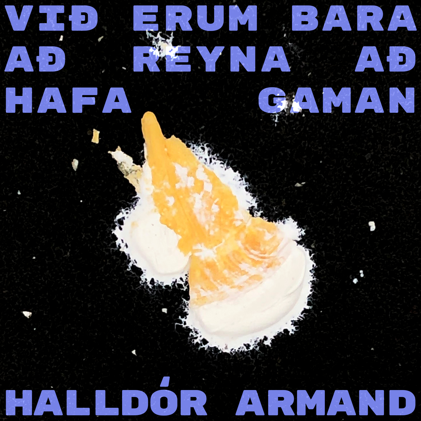 Við erum bara að reyna að hafa gaman