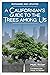 A Californian's Guide to the Trees Among Us, Expanded and Updated