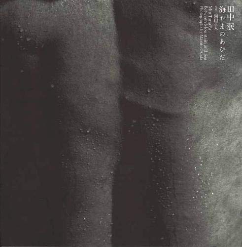 Min Tanaka Between Mountain and Sea (JP Oversized)