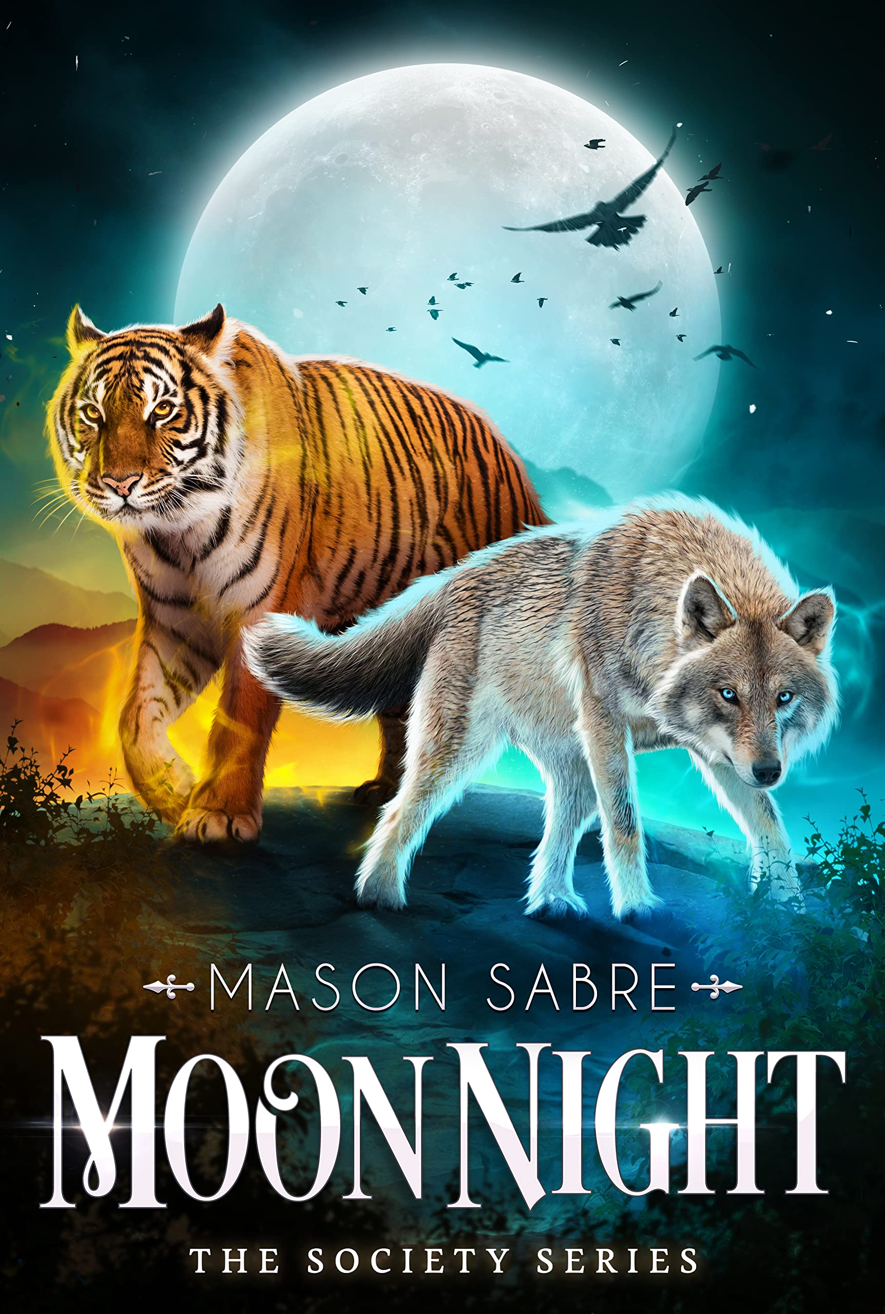 Moon Night: A Dark Shifter Romantasy (The Shifters of Pendle HIll Book 10)