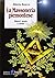 La massoneria piemontese: Misteri, storia e verità