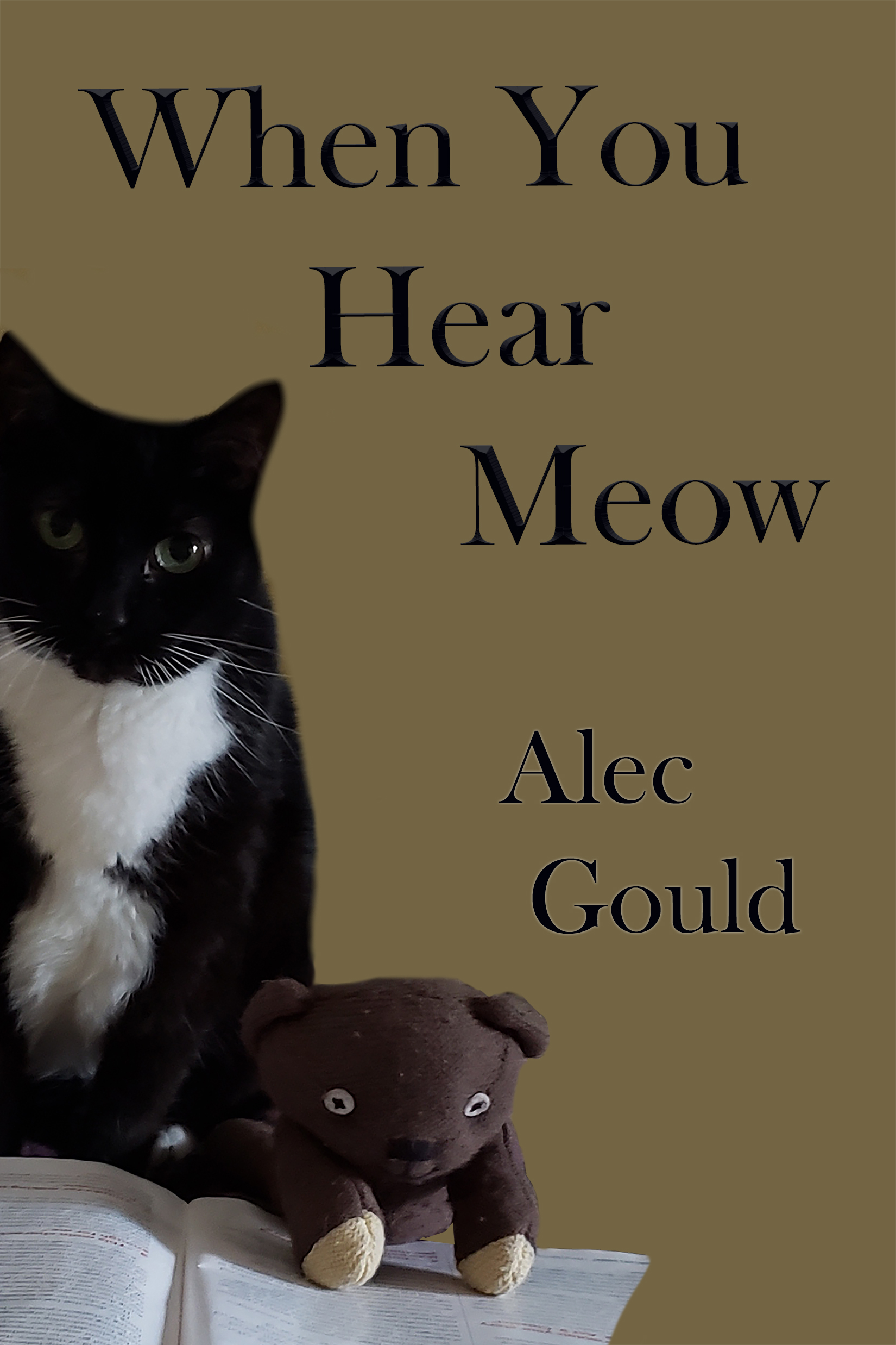 When You Hear Meow
