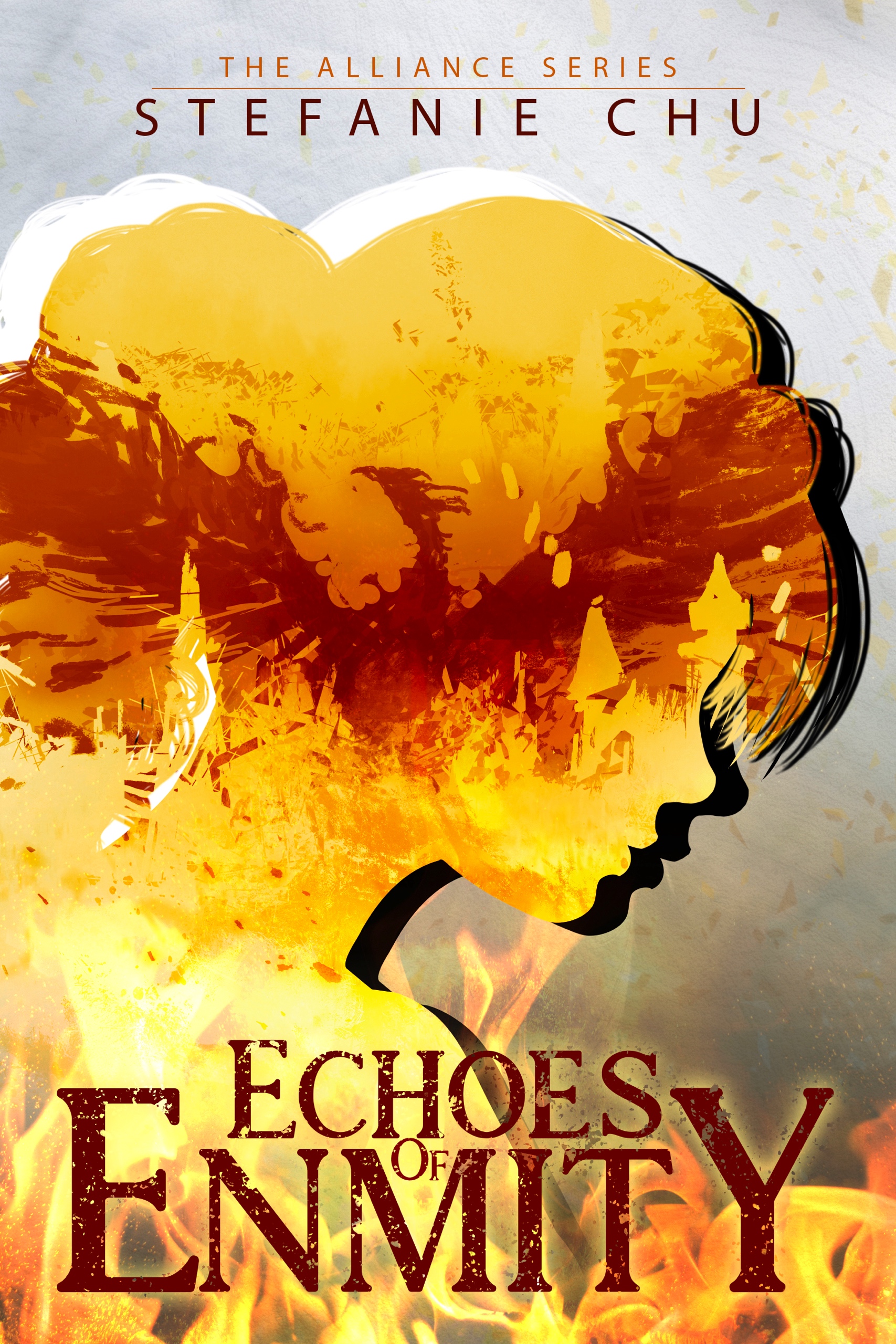 Echoes of Enmity (Paperback)