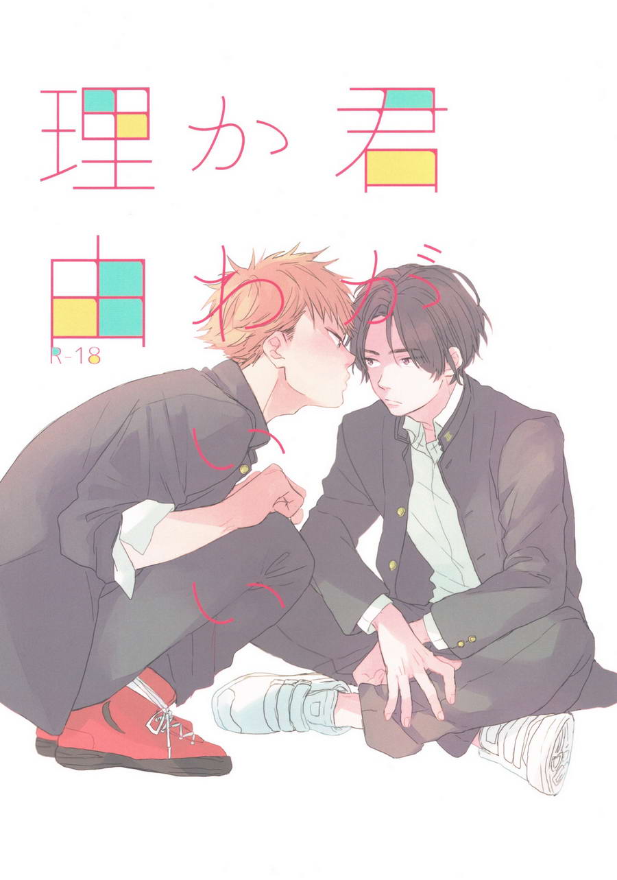 Kimi ga Kawaii Riyuu (ebook)