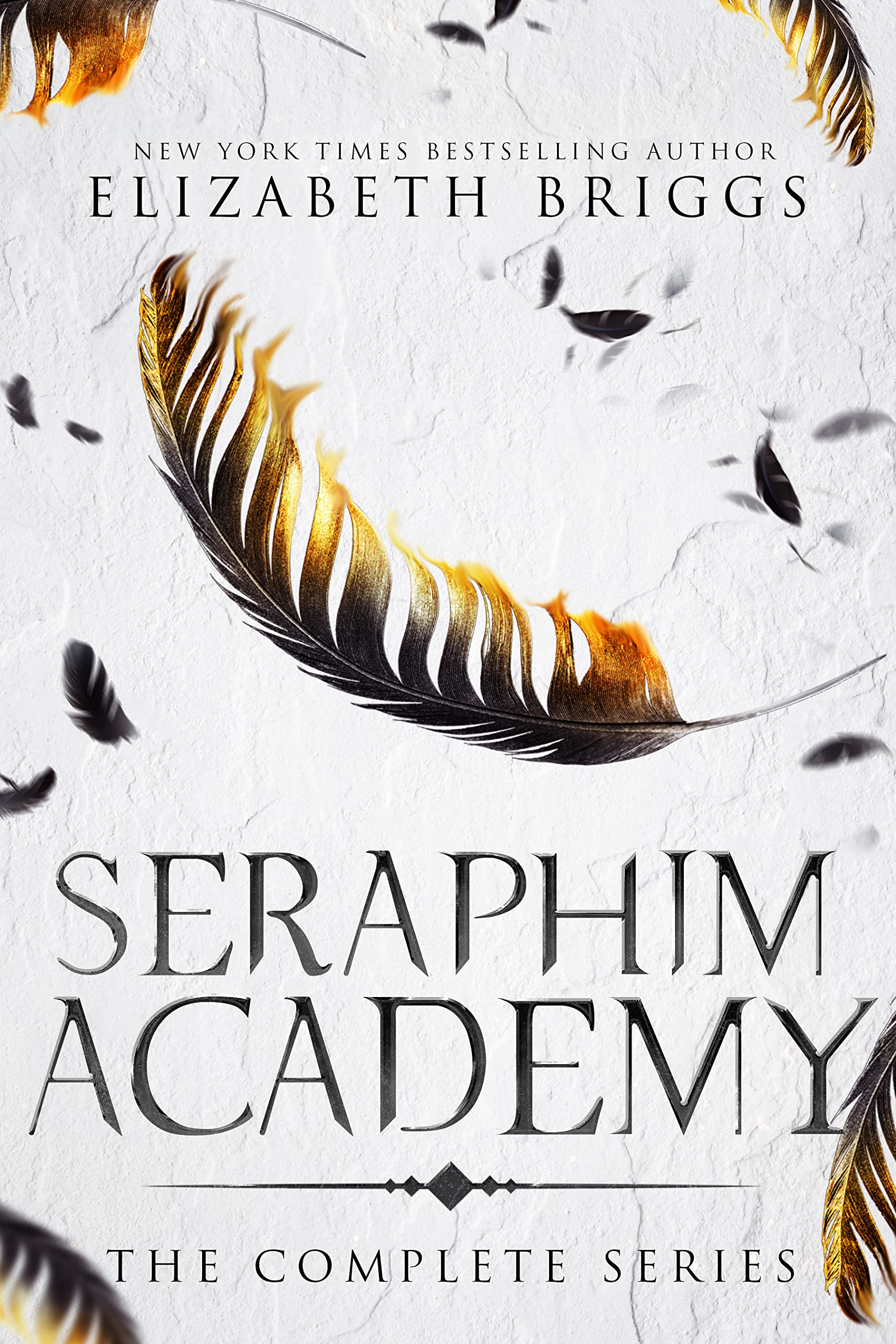 Seraphim Academy: The Complete Series (Kindle Edition)