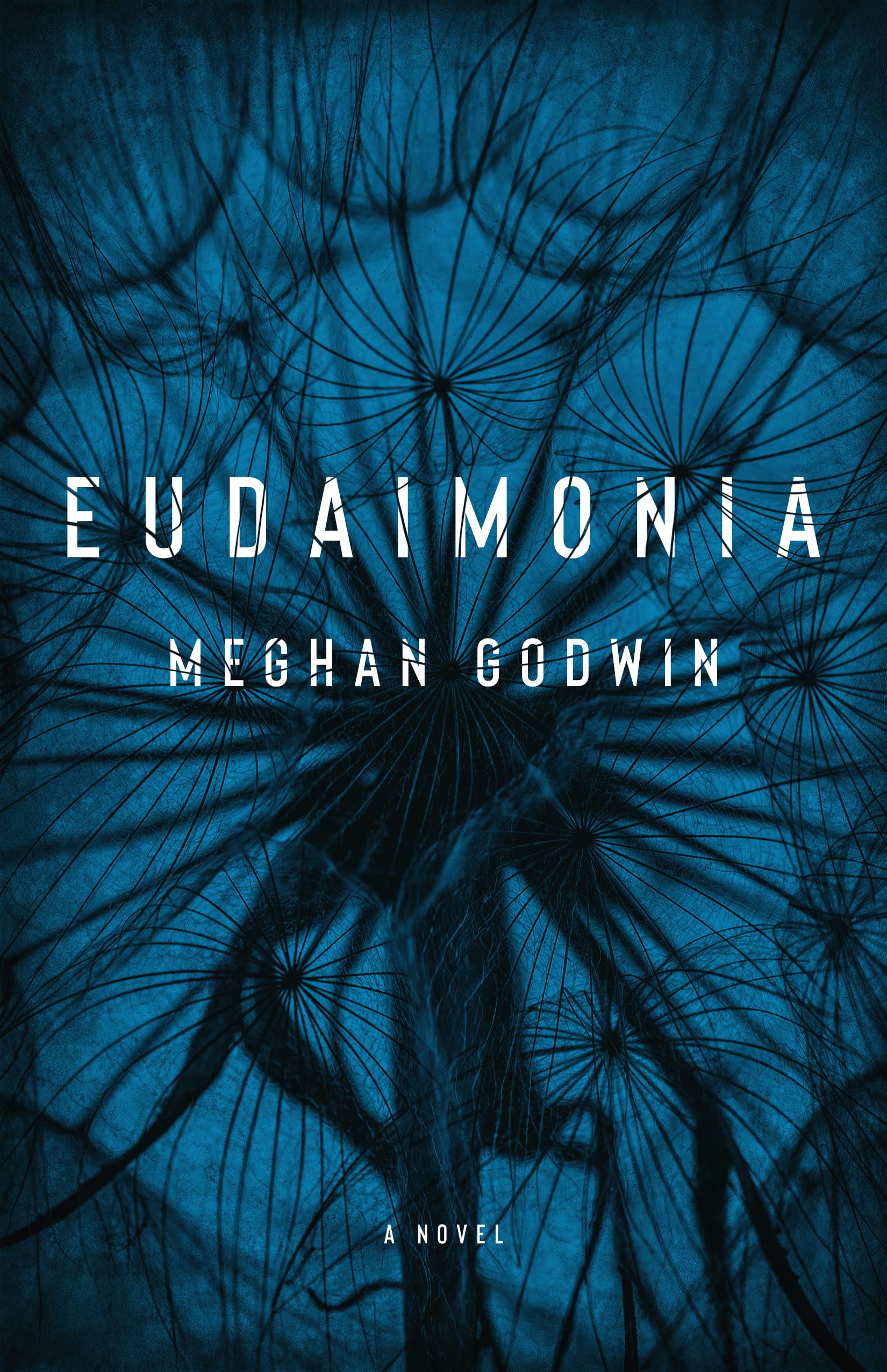 Eudaimonia (Kindle Edition)