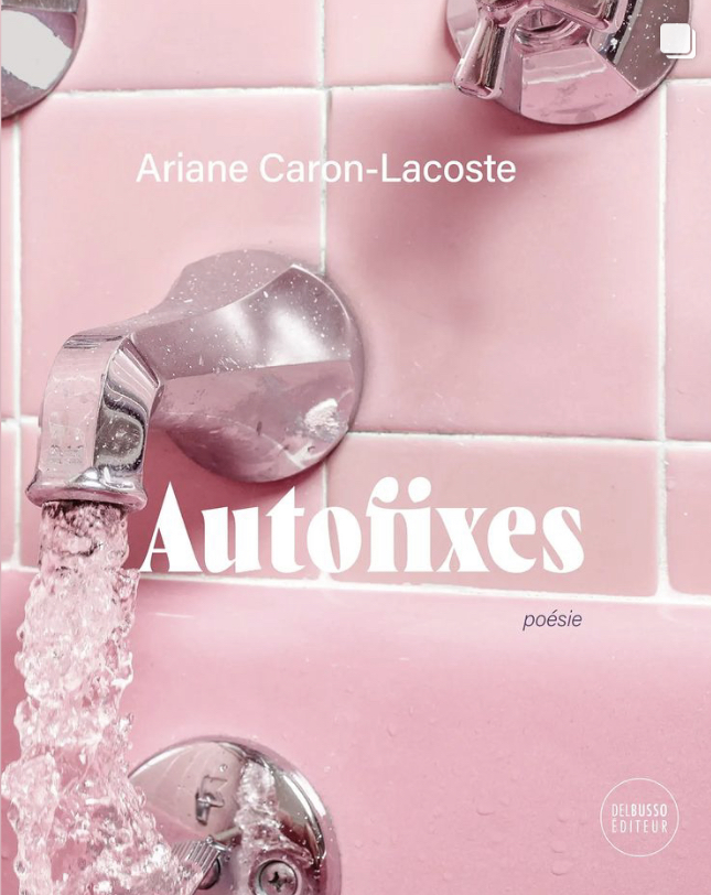 Autofixes (Paperback)