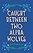 Caught Between Two Alpha Wo...