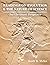 Readings On Evolution & The Nature Of Science by Keith B. Miller