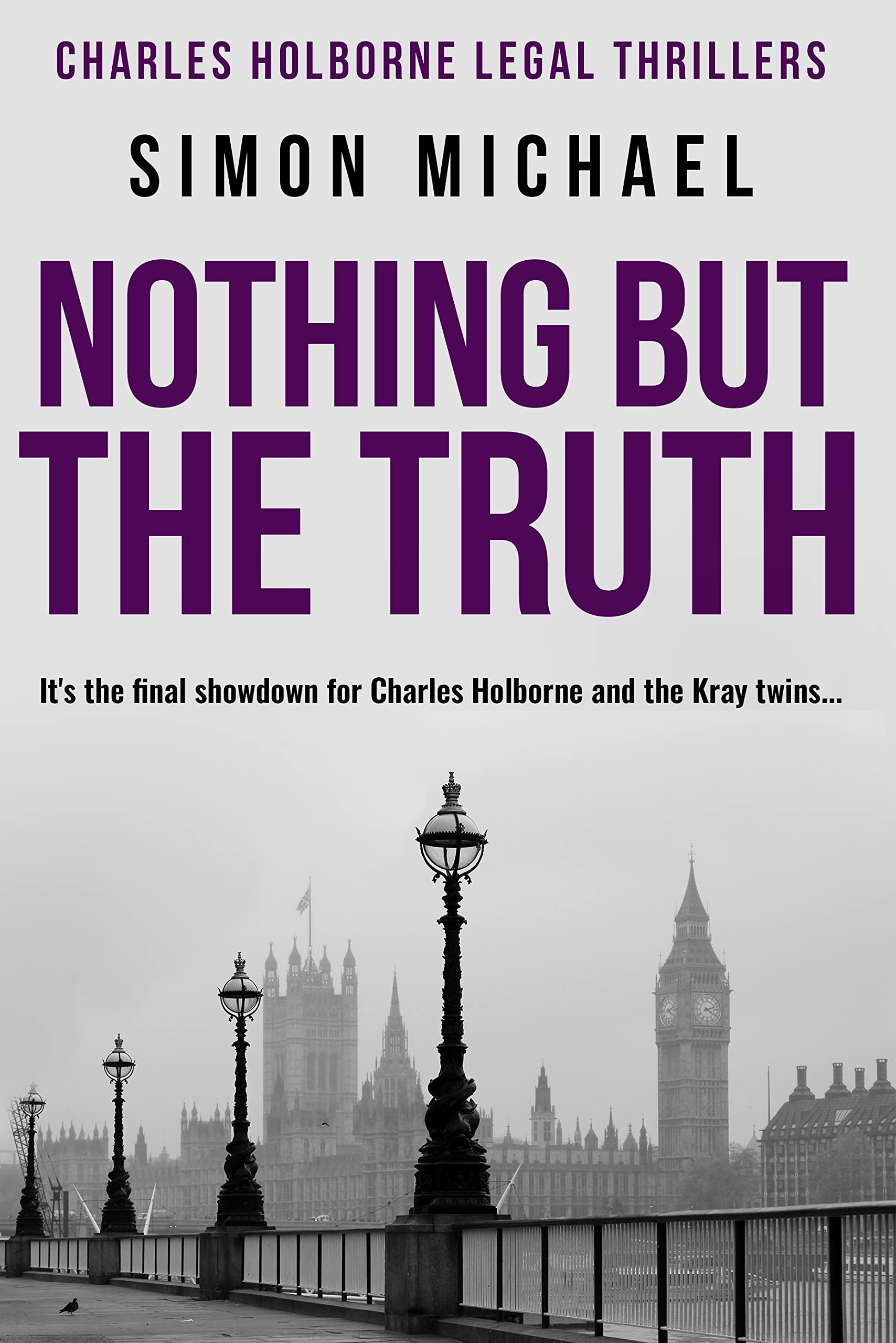 Nothing But The Truth (Charles Holborne #8)