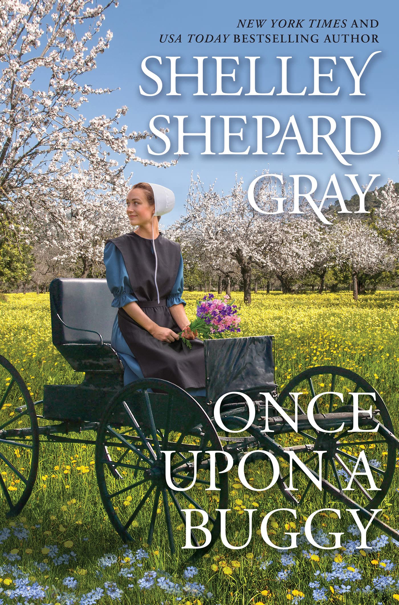 Once Upon a Buggy (The Amish of Apple Creek #2)