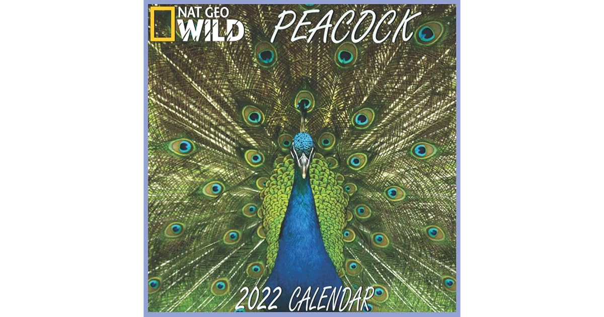 Peacock Calendar 2022 Peacock calendar 2022 "8.5x8.5" Inch 16 Months