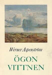 Ögonvittnen (Paperback)