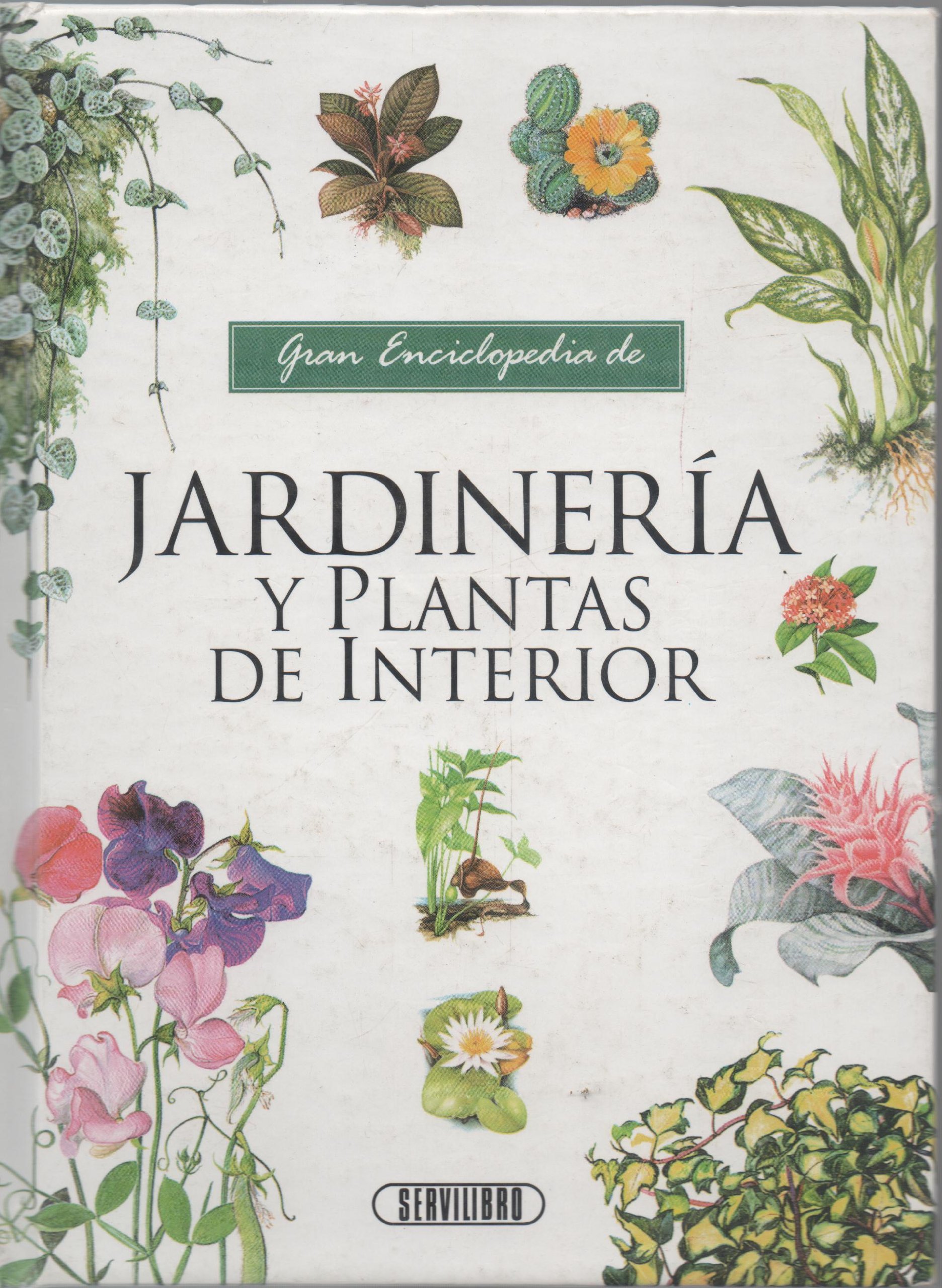 Jardinería y plantas de interior (Paperback)