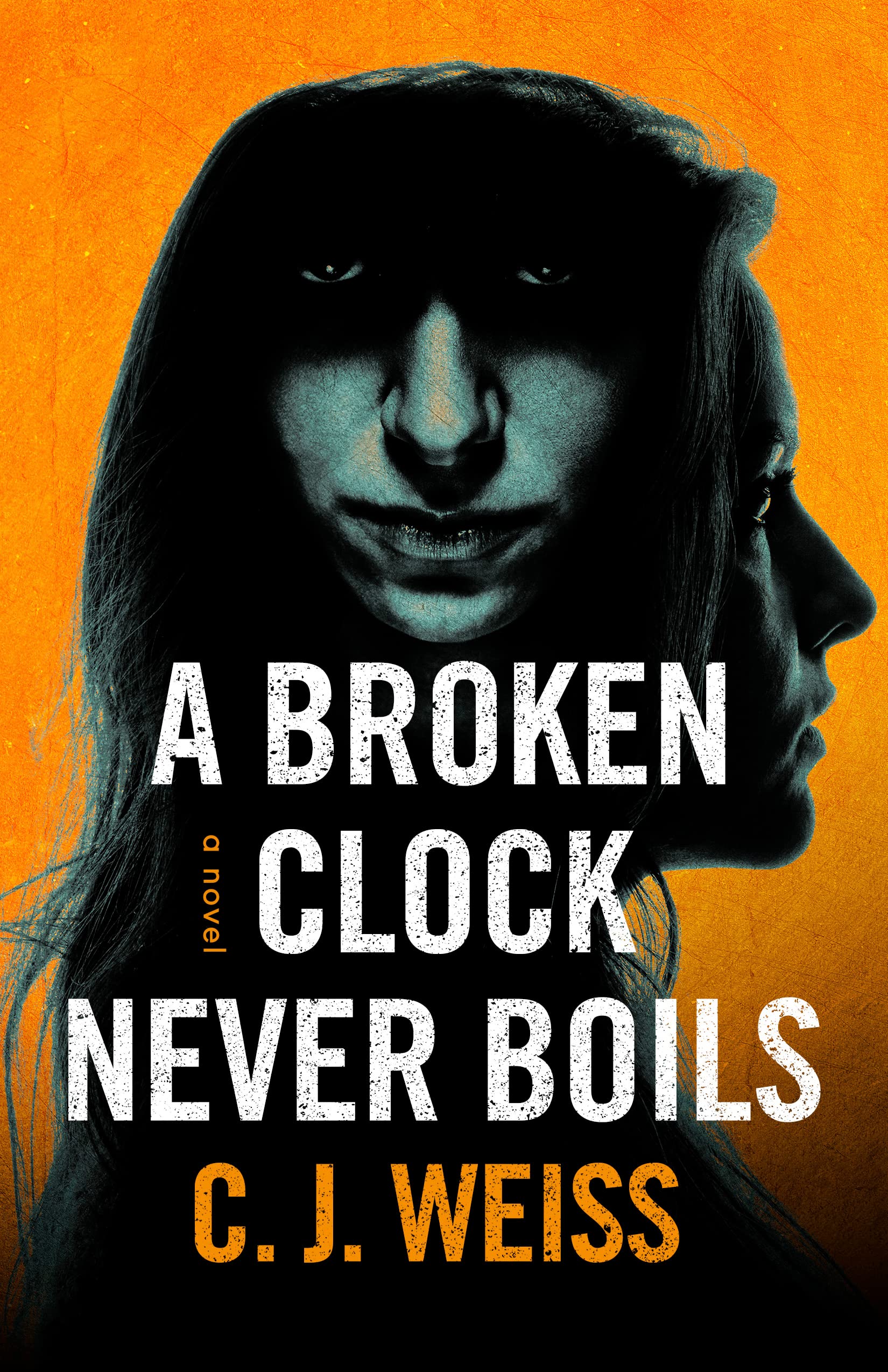 A Broken Clock Never Boils (Kindle Edition)