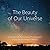 The Beauty of Our Universe:...