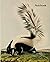 Notebook with Skunk Design:...