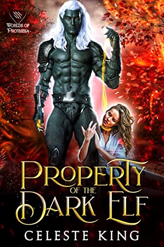 Property of the Dark Elf (Dark Elves of Protheka, #10; Dark Fae Masters of Protheka, #1)