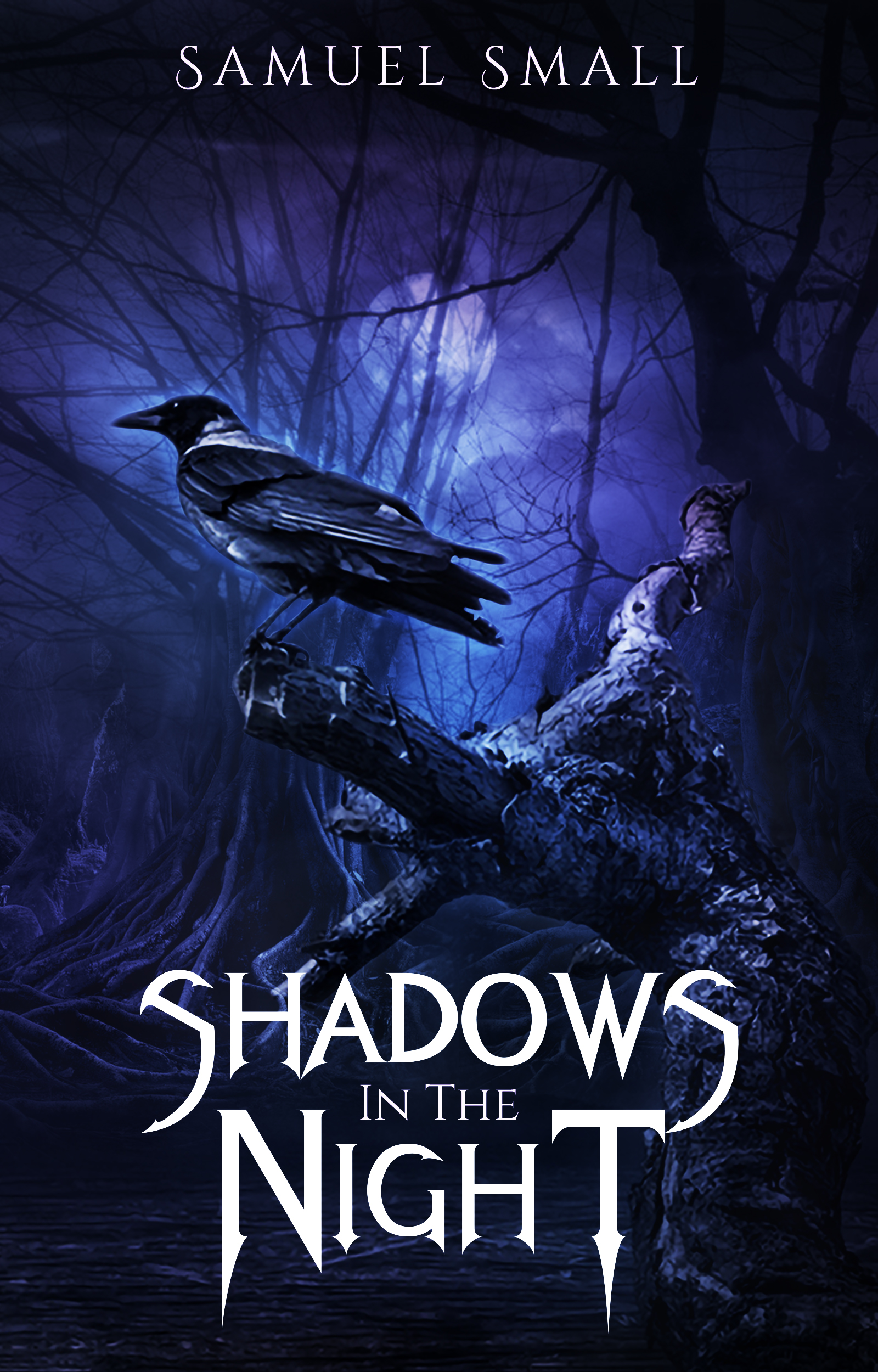 Shadows in the Night: A Horror Short Story Collection (Kindle Edition)