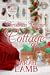 Christmas Treasure Cottage ...
