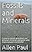 Fossils and Minerals: Common fossils described and pictured, minerals and gems with chakra powers mentioned