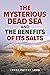 The Mysterious Dead Sea and...