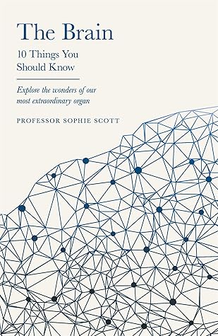 The Brain: 10 Things You Should Know