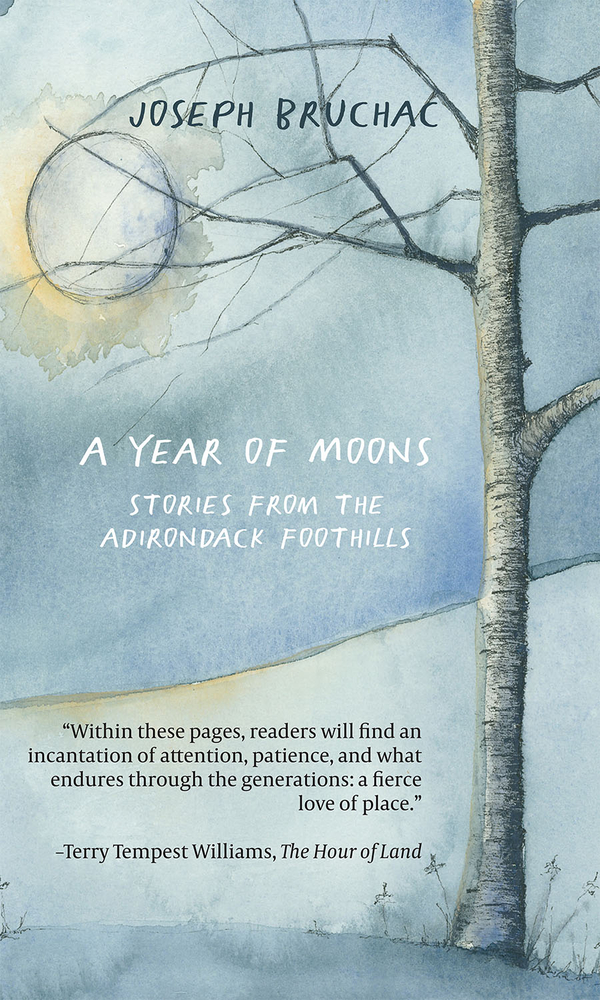 A Year of Moons: Stories From The Adirondack Foothills (Paperback)