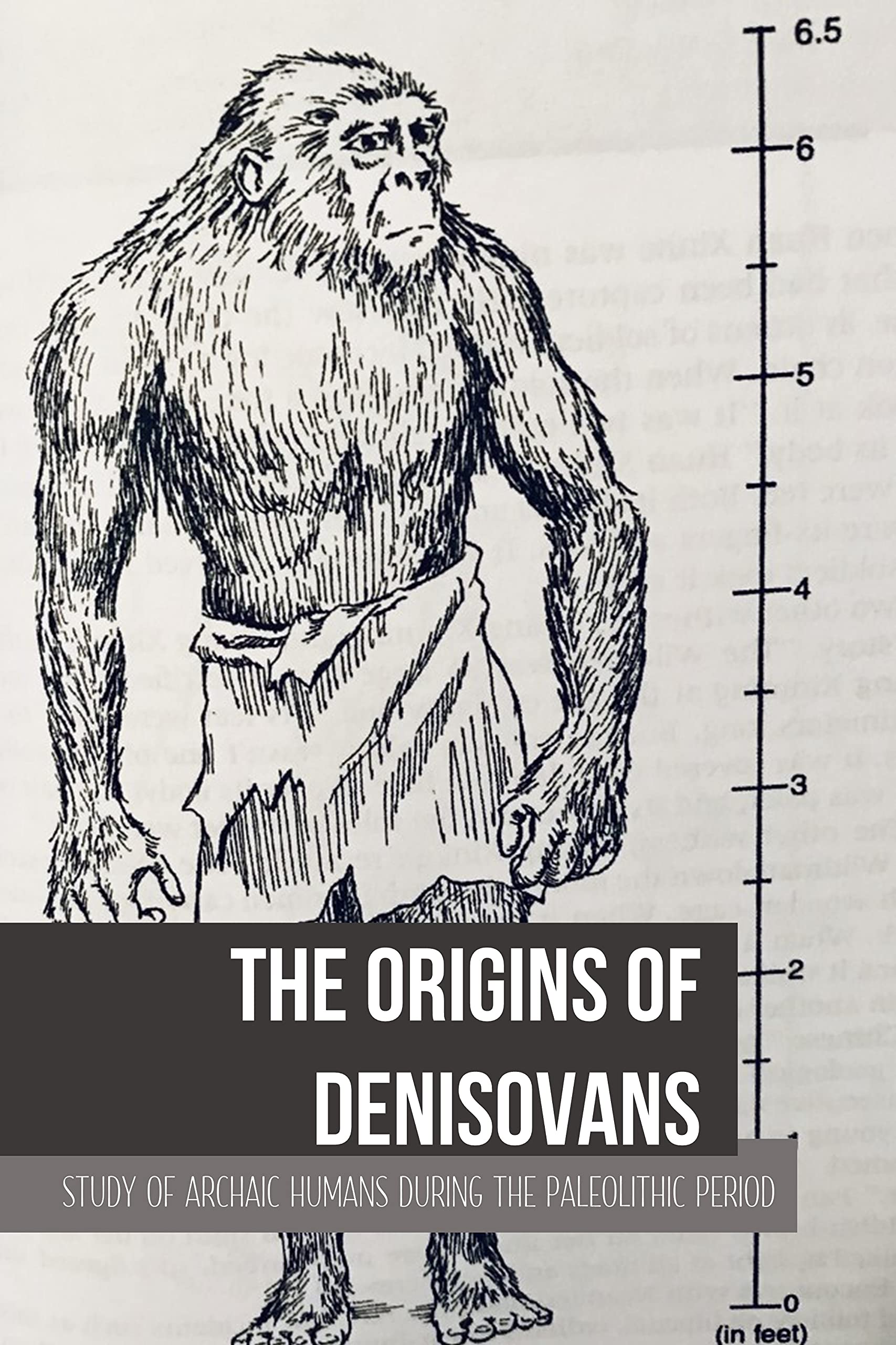 The Origins Of Denisovans: Study Of Archaic Humans During The Paleolithic Period (Kindle Edition)
