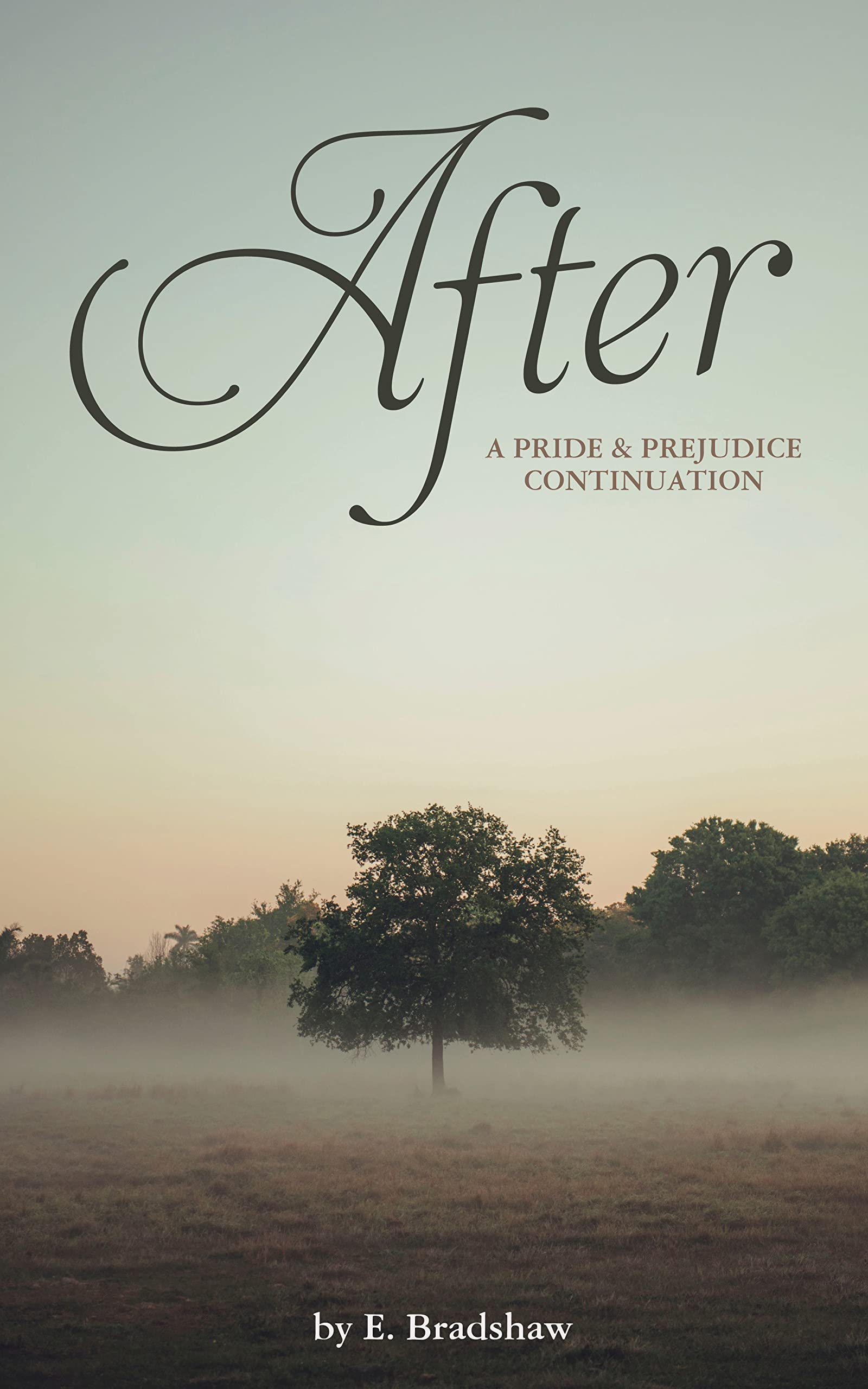 After: A Pride & Prejudice Continuation (Kindle Edition)