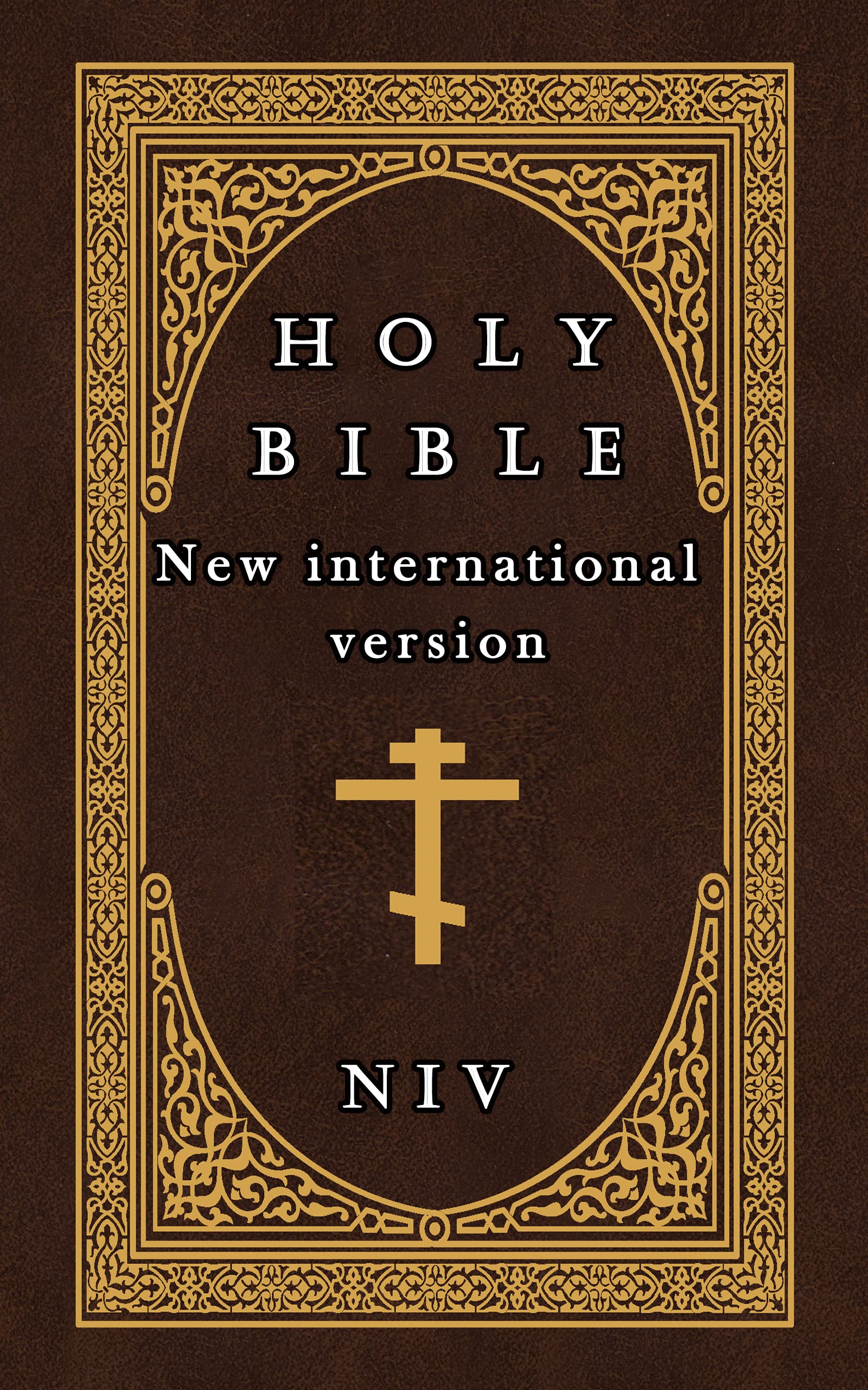Holy Bible (NIV) : New International Version Edition 2022