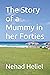 The Story of a Mummy in her...
