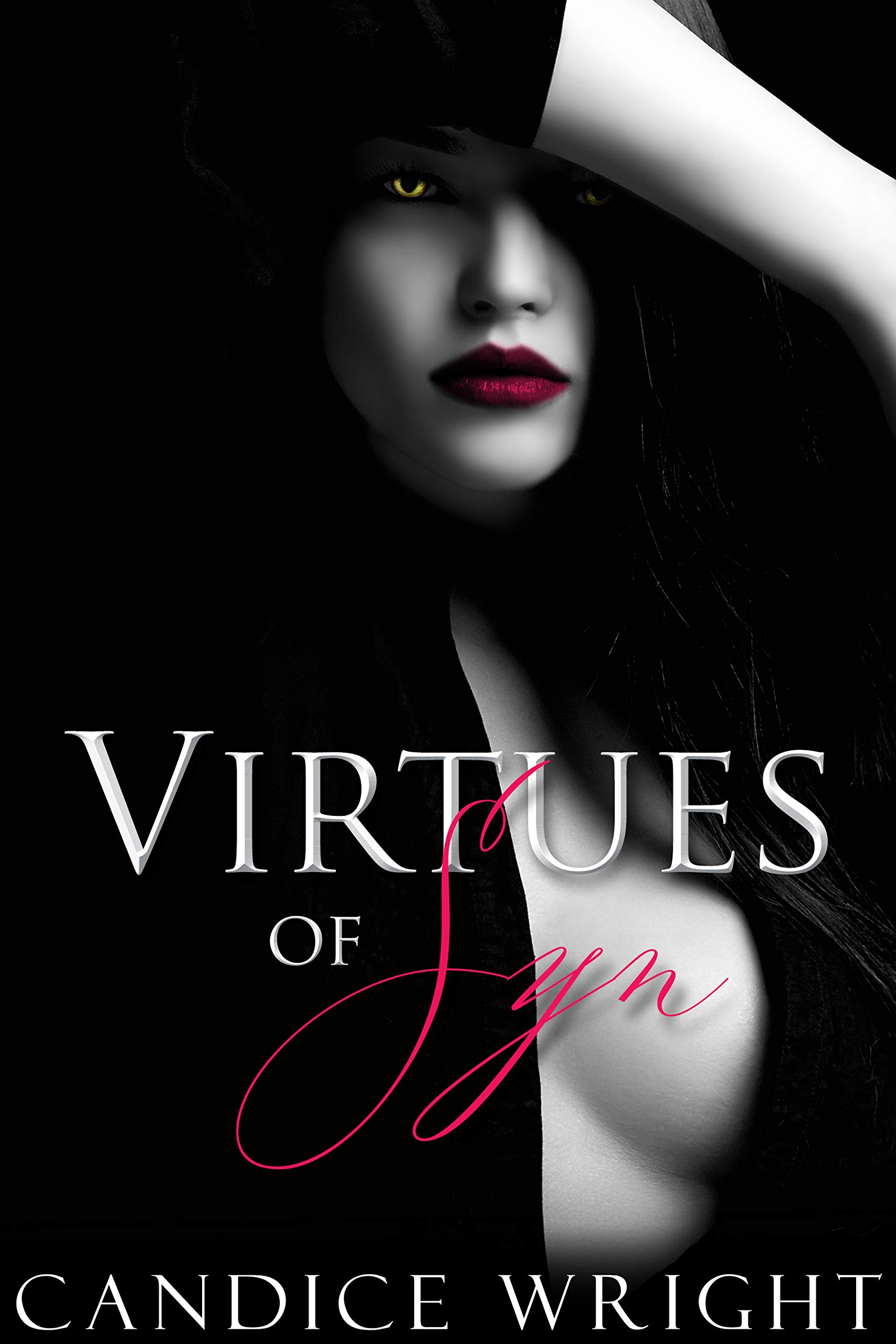Virtues of Syn: A Phoenix Project Novel