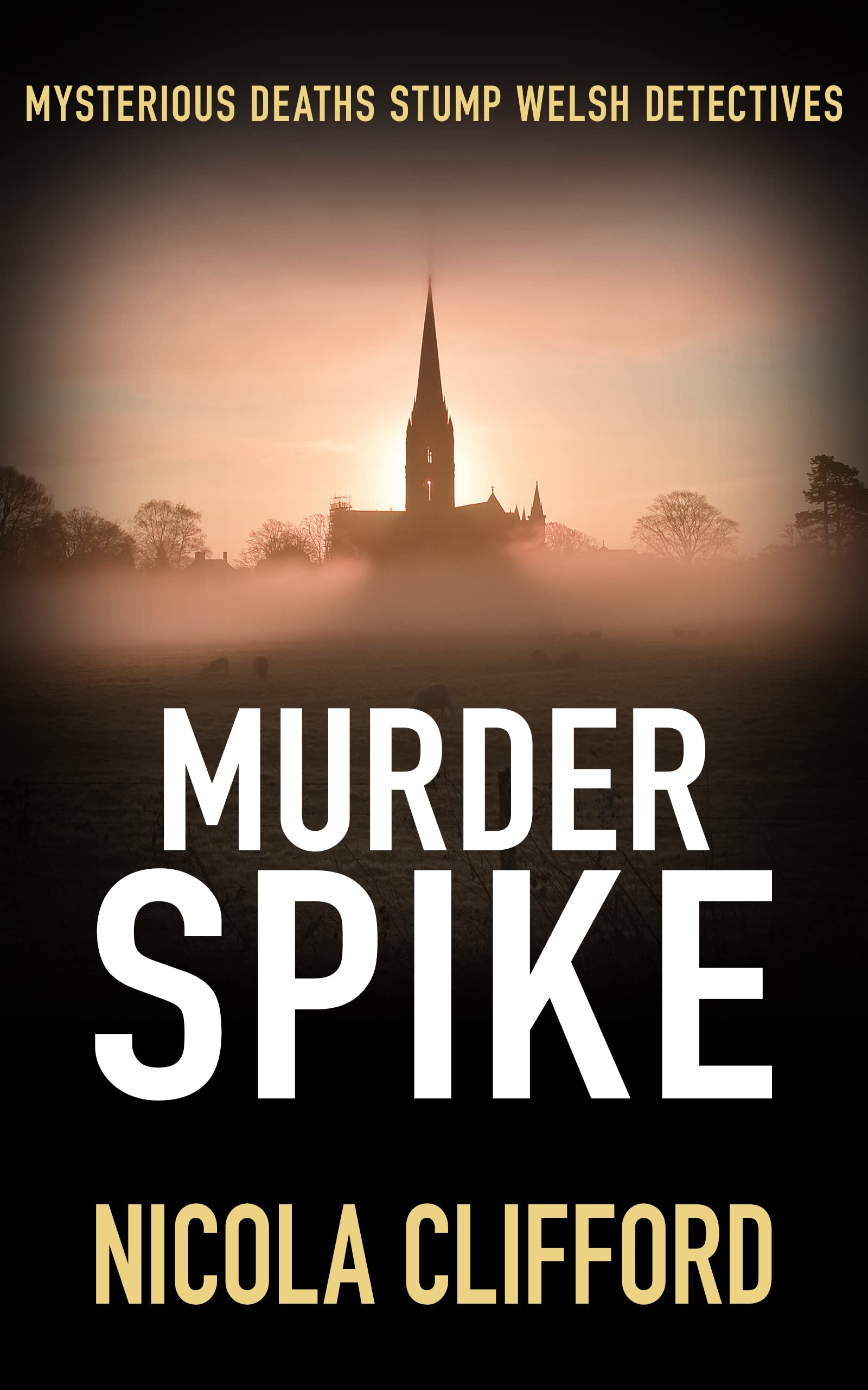 Murder Spike (Welsh Crime Mysteries #7)